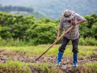 安全、刺激、多元化的線上娛樂體驗 - 雷竞技