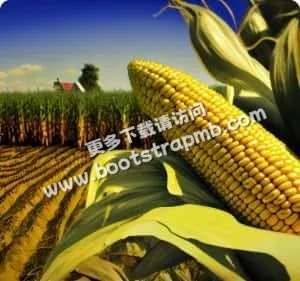 多元娱乐，满足您的期待 - 雷竞技