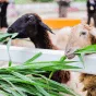 搜尋 - 雷竞技